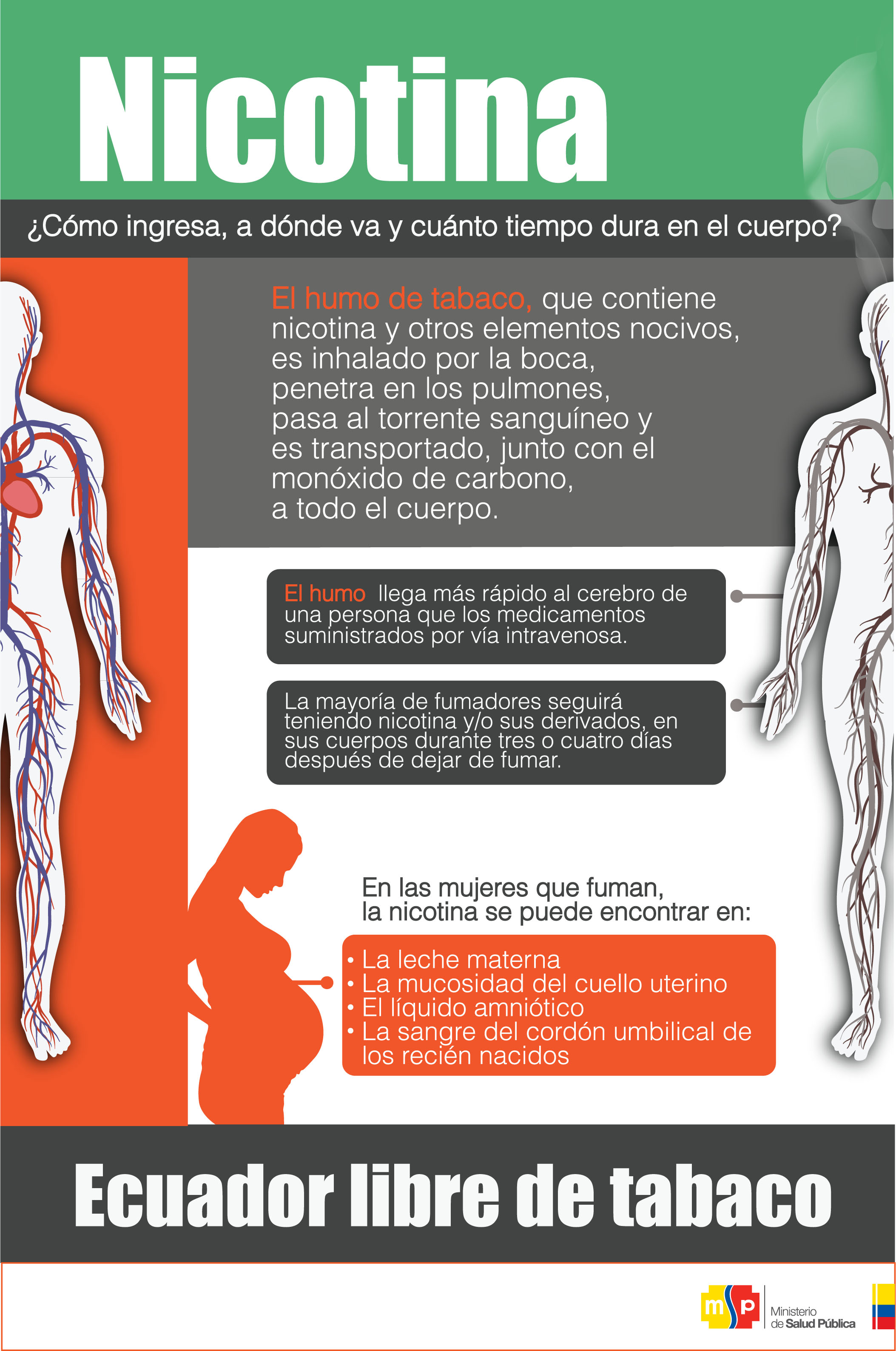 Infografianicotina Ministerio De Salud Pública 4860